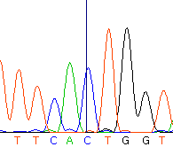 seq56_35512_0 trace