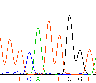 seq56_35512_1 trace