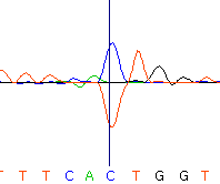 seq56_35512_2 trace