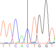 seq56_35512_4 trace