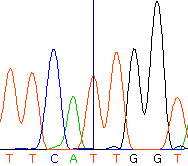 seq56_35512_5 trace