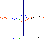 seq56_35512_6 trace