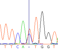 seq59_35512_0 trace