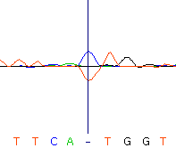 seq59_35512_2 trace