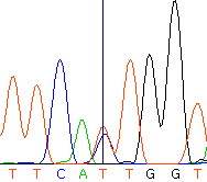 seq59_35512_4 trace