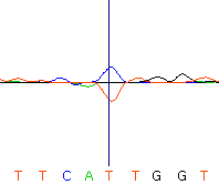 seq59_35512_6 trace