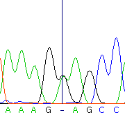 seq66_36314_0 trace