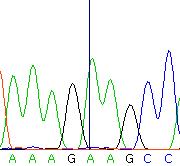 seq66_36314_1 trace