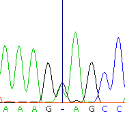 seq66_36314_4 trace