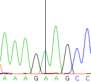 seq66_36314_5 trace